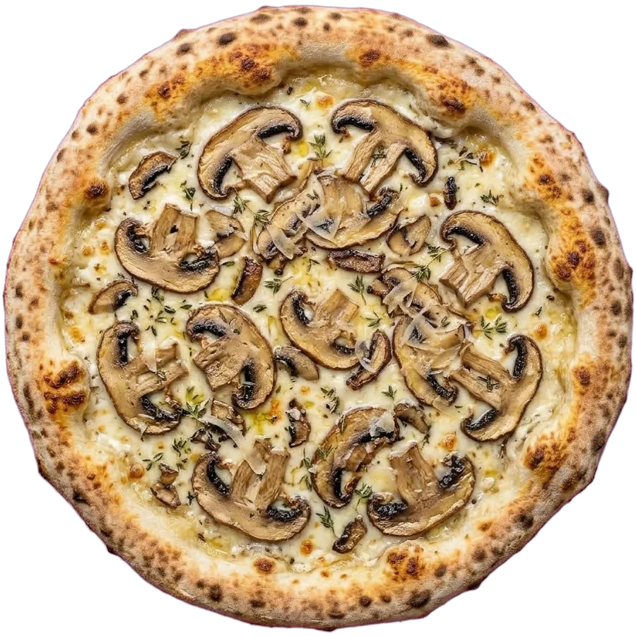 كمأة وفطر